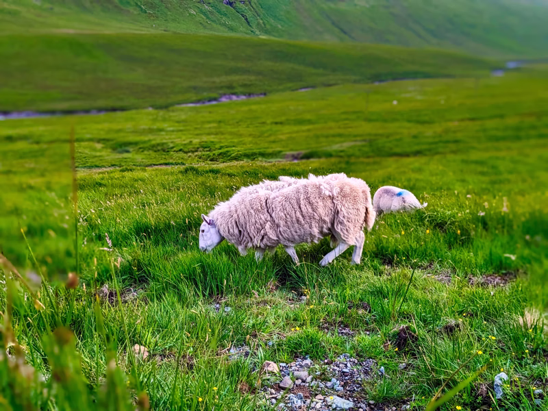Isle of Skye, Scotland, June 2023, Edited