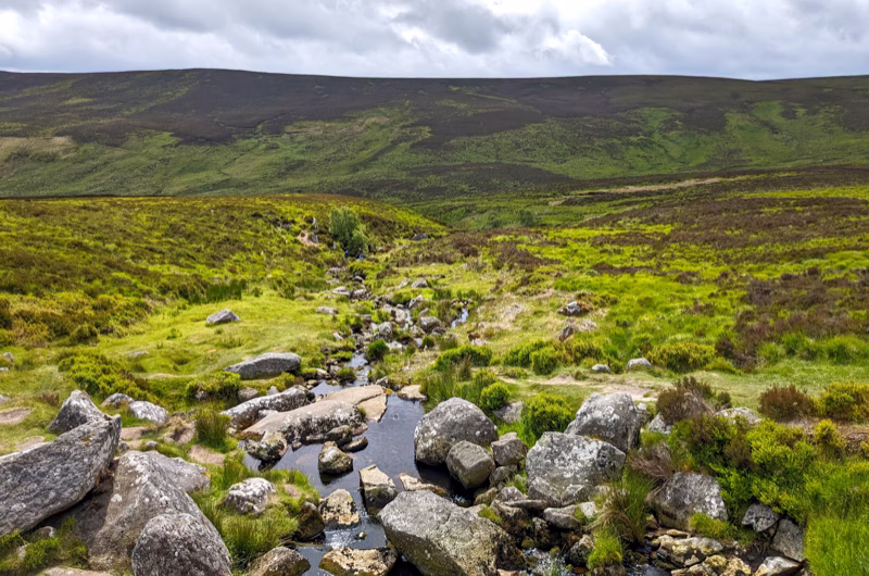 Sally Gap, Ireland, June 2024, Edited