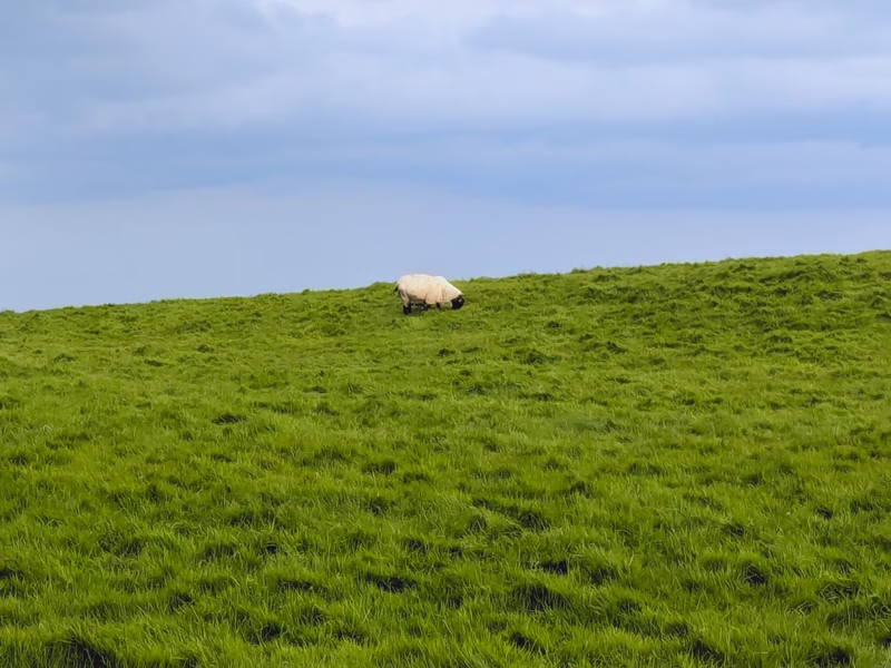 Cliffs of Moher, Ireland, June 2024, Edited